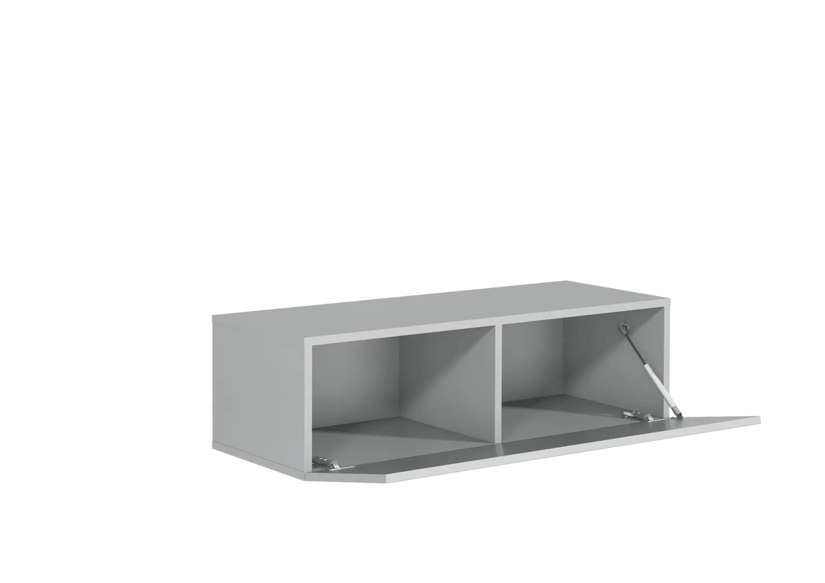 RTV_100_gray_v2_open